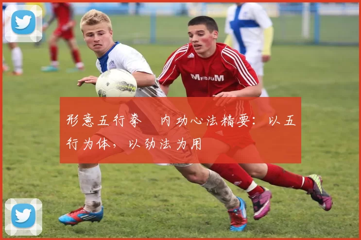 形意五行拳・内功心法精要：以五行为体，以劲法为用
