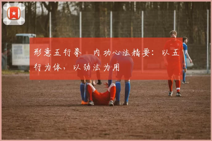 形意五行拳・内功心法精要:以五行为体,以劲法为用
