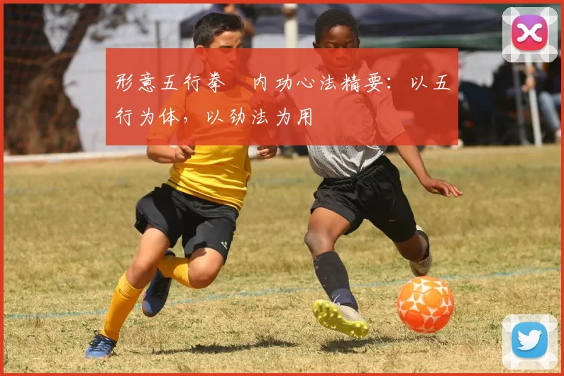 形意五行拳・内功心法精要：以五行为体，以劲法为用