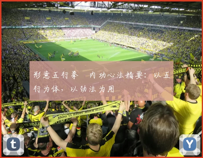 形意五行拳・内功心法精要：以五行为体，以劲法为用