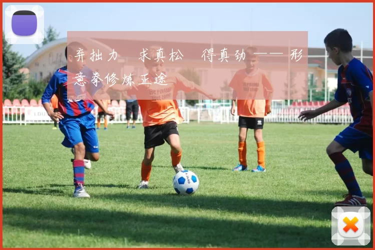 弃拙力・求真松・得真劲 —— 形意拳修炼正途