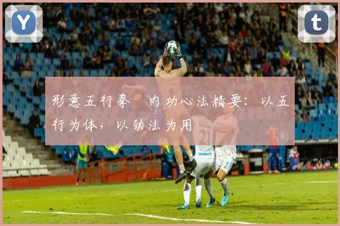 形意五行拳・内功心法精要：以五行为体，以劲法为用