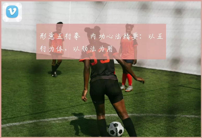 形意五行拳・内功心法精要：以五行为体，以劲法为用