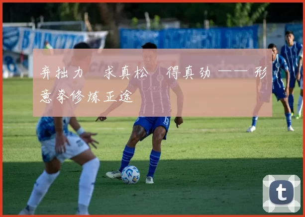 弃拙力・求真松・得真劲 —— 形意拳修炼正途