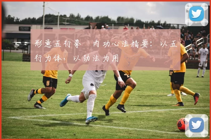 形意五行拳・内功心法精要：以五行为体，以劲法为用