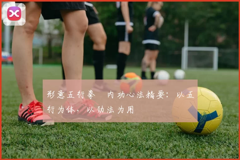 形意五行拳・内功心法精要：以五行为体，以劲法为用