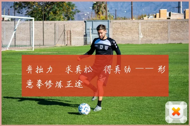 弃拙力・求真松・得真劲 —— 形意拳修炼正途