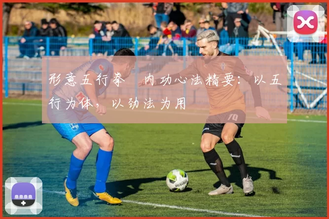 形意五行拳・内功心法精要：以五行为体，以劲法为用