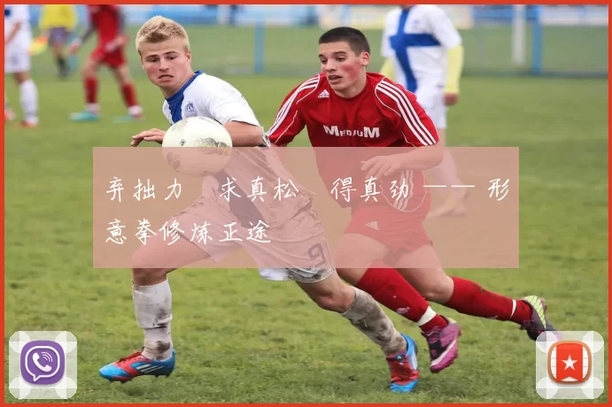 弃拙力・求真松・得真劲 —— 形意拳修炼正途