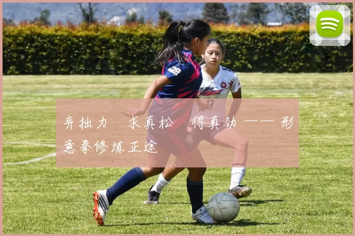 弃拙力・求真松・得真劲 —— 形意拳修炼正途