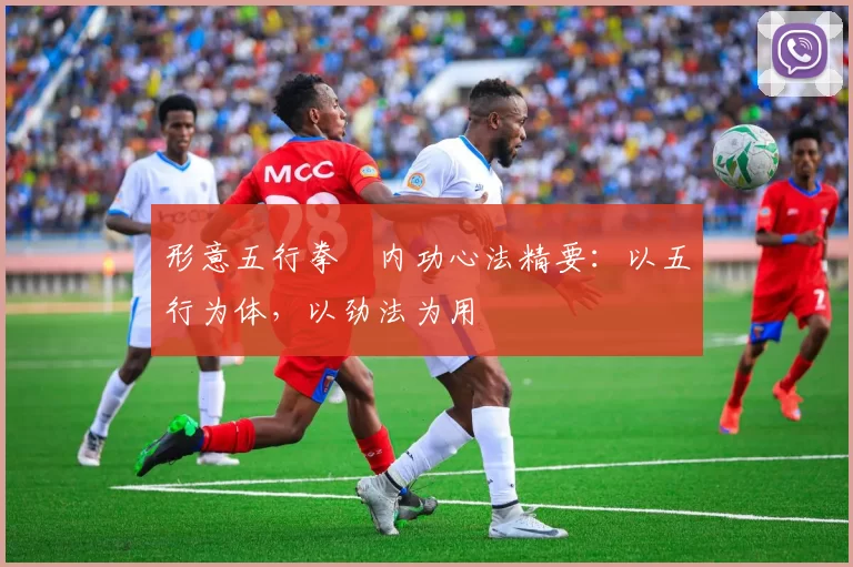 形意五行拳・内功心法精要：以五行为体，以劲法为用