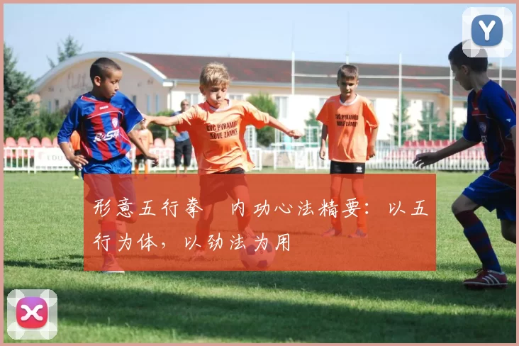 形意五行拳・内功心法精要：以五行为体，以劲法为用