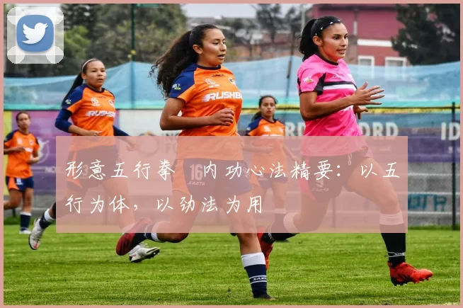 形意五行拳・内功心法精要：以五行为体，以劲法为用