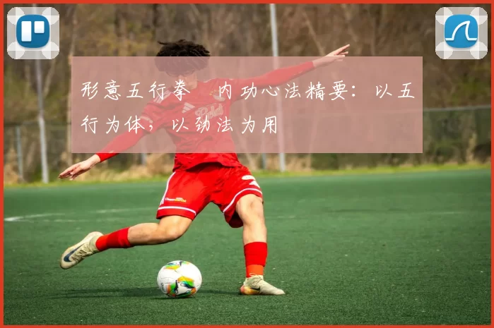 形意五行拳・内功心法精要：以五行为体，以劲法为用