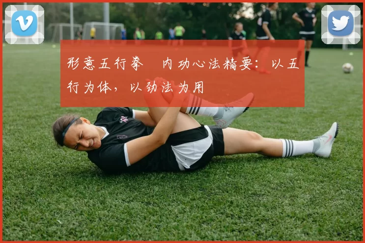 形意五行拳・内功心法精要：以五行为体，以劲法为用