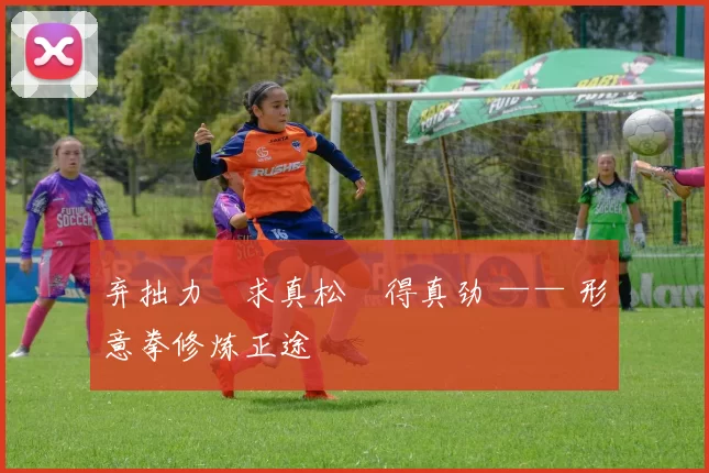 弃拙力・求真松・得真劲 —— 形意拳修炼正途