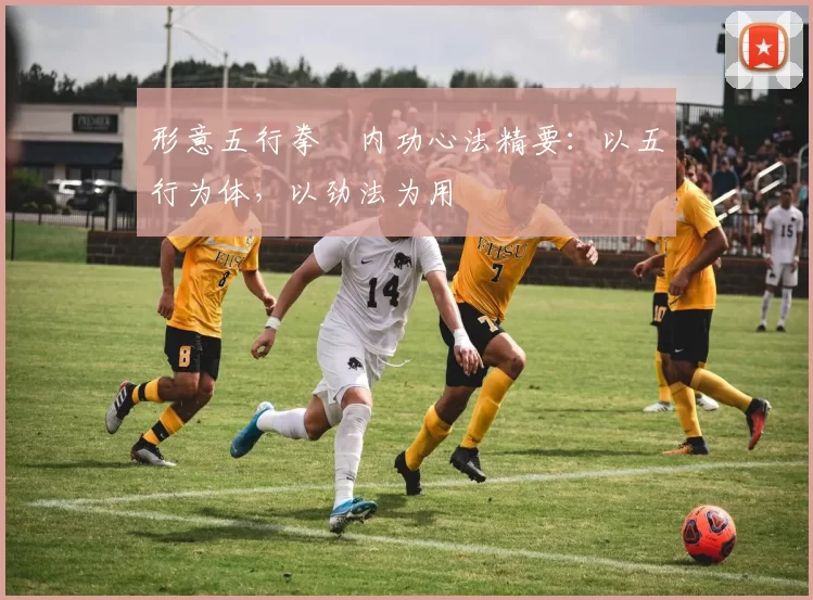 形意五行拳・内功心法精要：以五行为体，以劲法为用