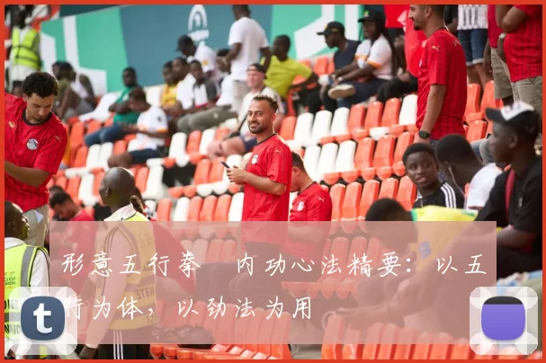 形意五行拳・内功心法精要:以五行为体,以劲法为用