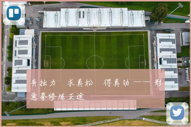 弃拙力・求真松・得真劲 —— 形意拳修炼正途