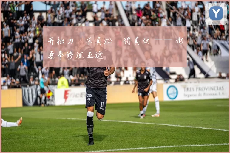 弃拙力・求真松・得真劲 —— 形意拳修炼正途