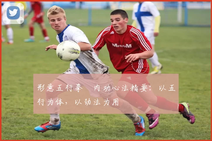 形意五行拳・内功心法精要：以五行为体，以劲法为用