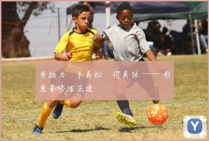 弃拙力・求真松・得真劲 —— 形意拳修炼正途