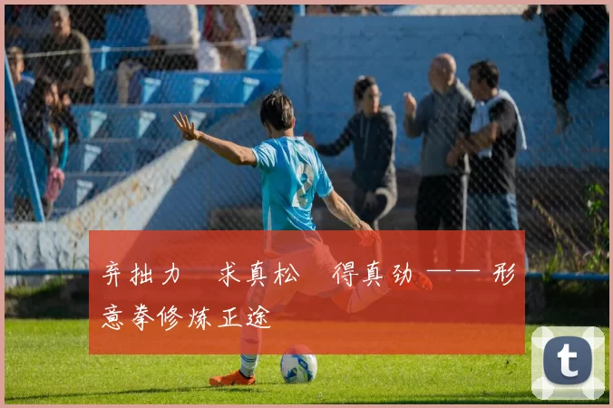 弃拙力・求真松・得真劲 —— 形意拳修炼正途