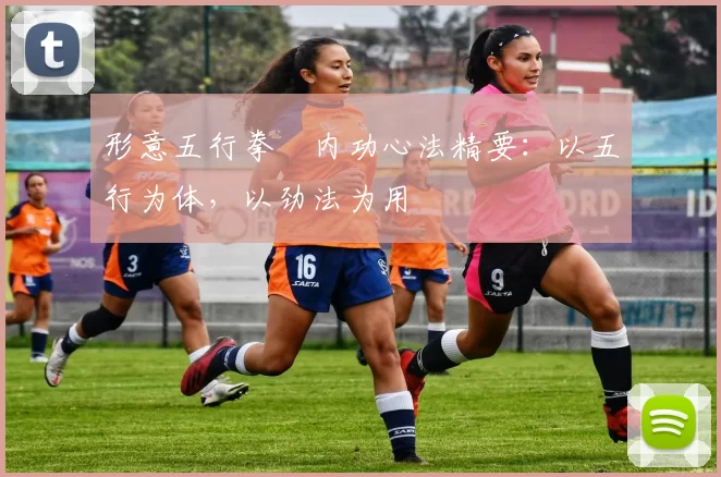 形意五行拳・内功心法精要:以五行为体,以劲法为用