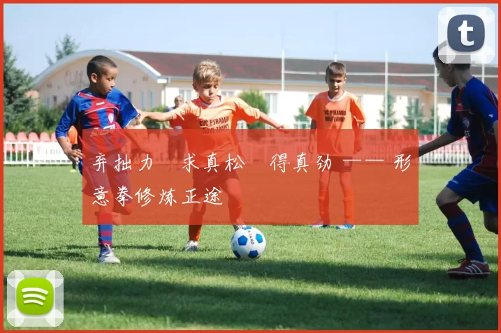 弃拙力・求真松・得真劲 —— 形意拳修炼正途