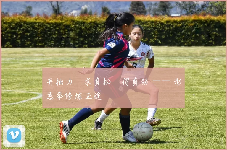 弃拙力・求真松・得真劲 —— 形意拳修炼正途