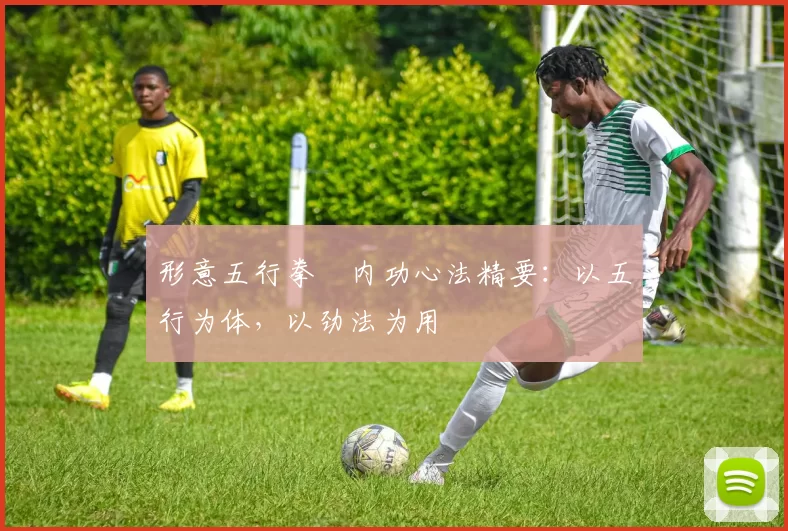 形意五行拳・内功心法精要:以五行为体,以劲法为用