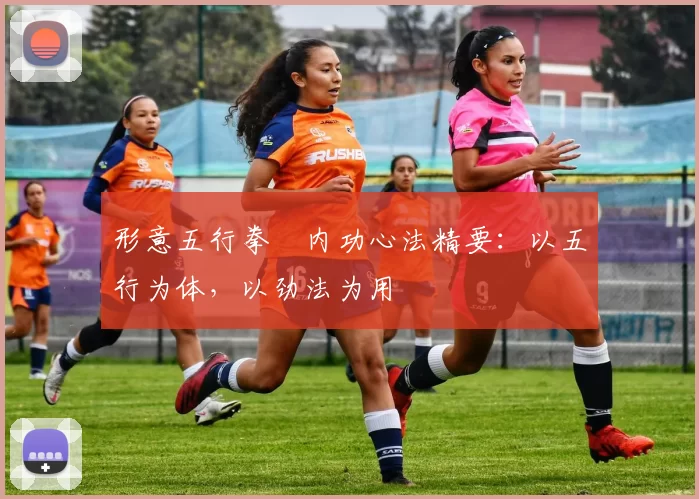 形意五行拳・内功心法精要：以五行为体，以劲法为用