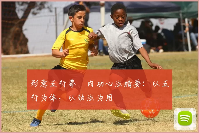 形意五行拳・内功心法精要:以五行为体,以劲法为用