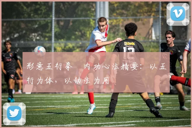 形意五行拳・内功心法精要：以五行为体，以劲法为用