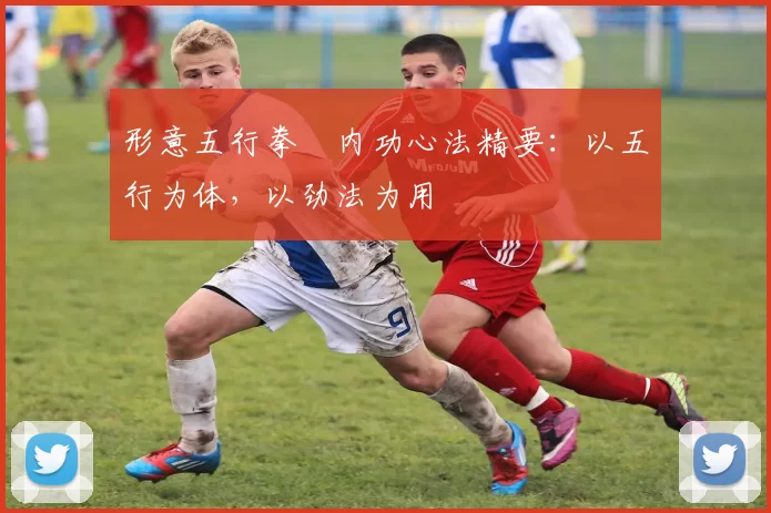 形意五行拳・内功心法精要：以五行为体，以劲法为用