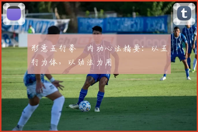 形意五行拳・内功心法精要：以五行为体，以劲法为用