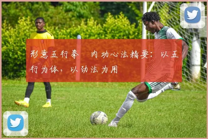 形意五行拳・内功心法精要:以五行为体,以劲法为用