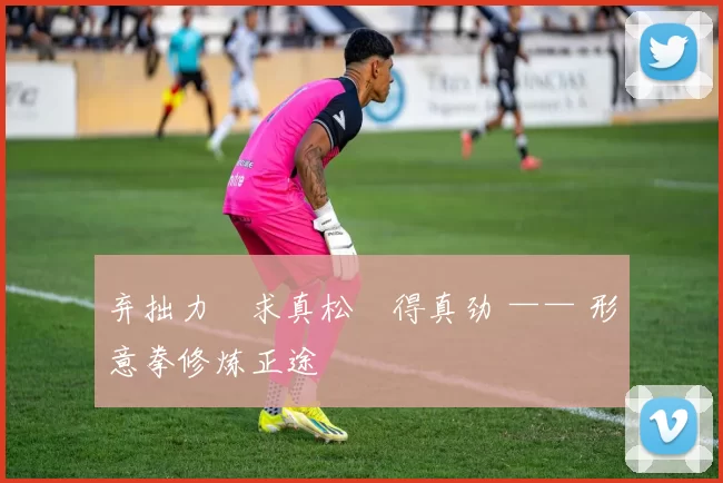 弃拙力・求真松・得真劲 —— 形意拳修炼正途