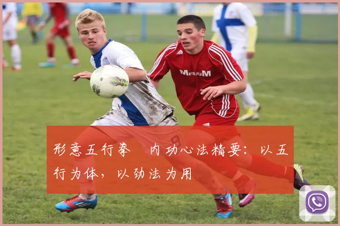 形意五行拳・内功心法精要：以五行为体，以劲法为用