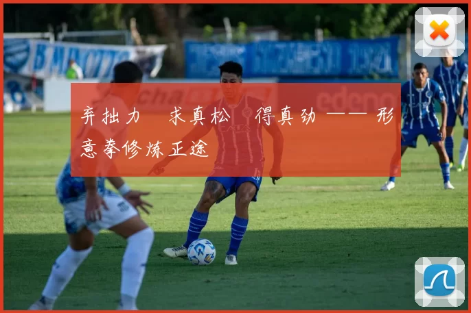 弃拙力・求真松・得真劲 —— 形意拳修炼正途