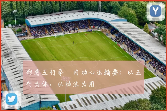 形意五行拳・内功心法精要：以五行为体，以劲法为用