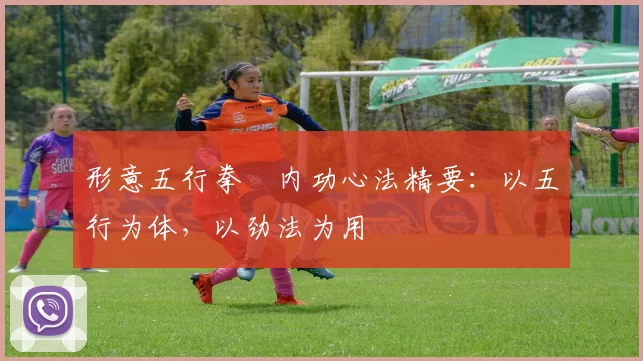 形意五行拳・内功心法精要:以五行为体,以劲法为用