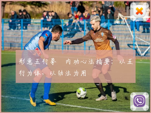 形意五行拳・内功心法精要：以五行为体，以劲法为用