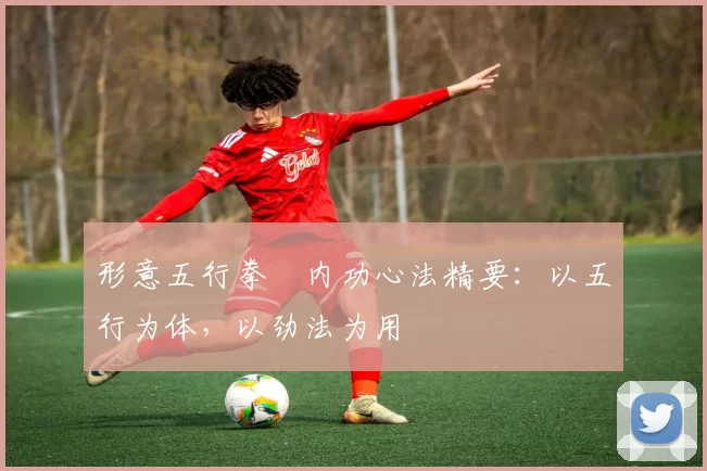 形意五行拳・内功心法精要:以五行为体,以劲法为用