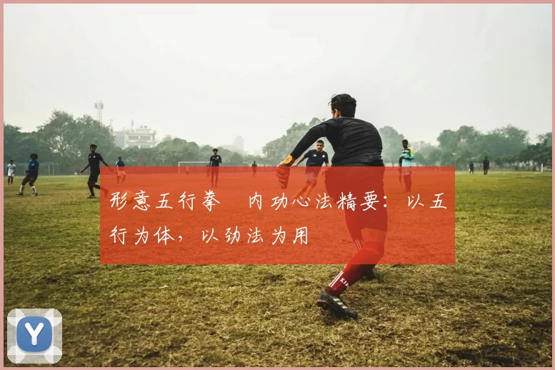 形意五行拳・内功心法精要：以五行为体，以劲法为用