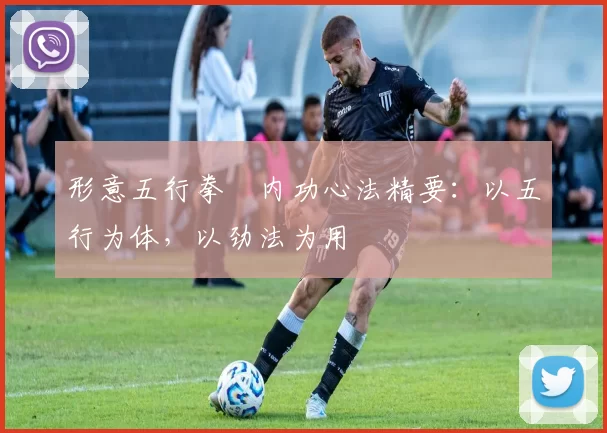 形意五行拳・内功心法精要：以五行为体，以劲法为用