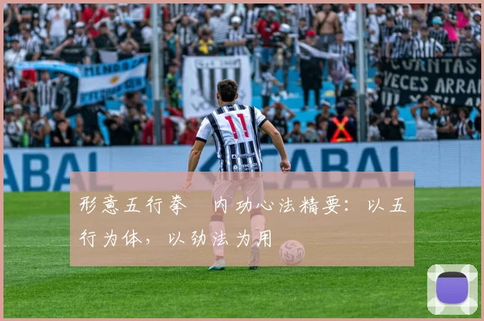 形意五行拳・内功心法精要：以五行为体，以劲法为用