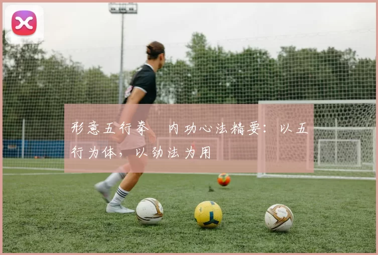 形意五行拳・内功心法精要：以五行为体，以劲法为用