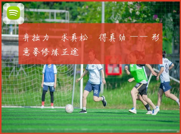 弃拙力・求真松・得真劲 —— 形意拳修炼正途