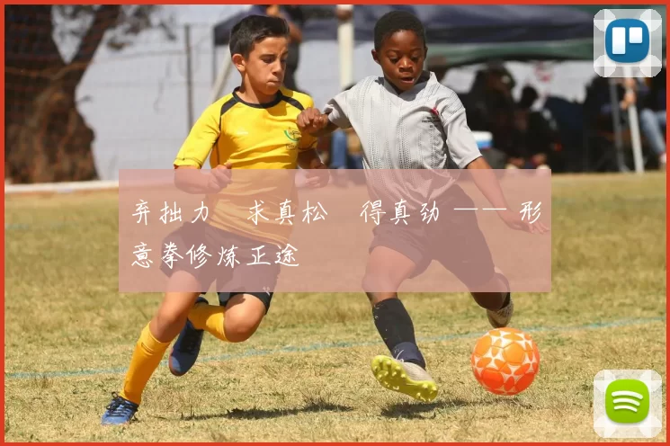 弃拙力・求真松・得真劲 —— 形意拳修炼正途